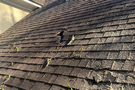 roof repairs jackson ms|Roof Repair Services in Jackson, Mississippi